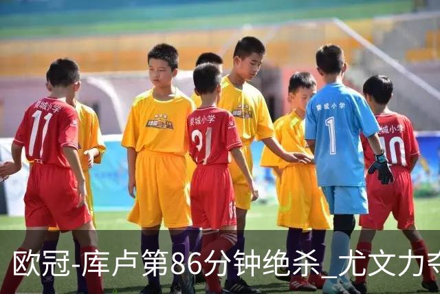 欧冠-库卢第86分钟绝杀 尤文力夺3连胜全零封领跑